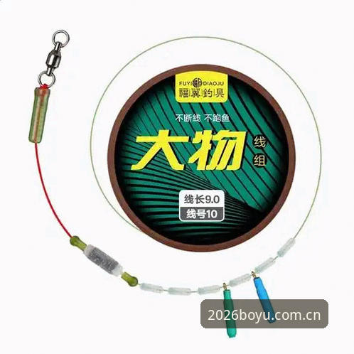 BOYU平台靠谱吗？博鱼体育2026新版与旧版实测对比